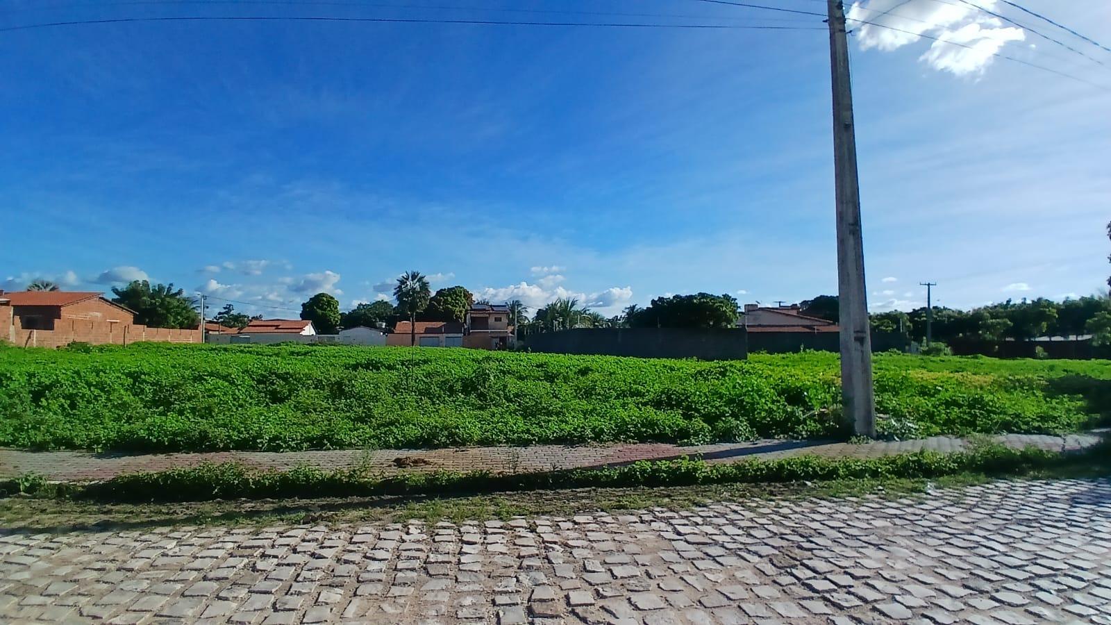 Foto 02