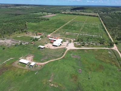Fazenda para Venda, em Carnaubais, bairro Propriedade Rural com �rea de 192 h�ctares