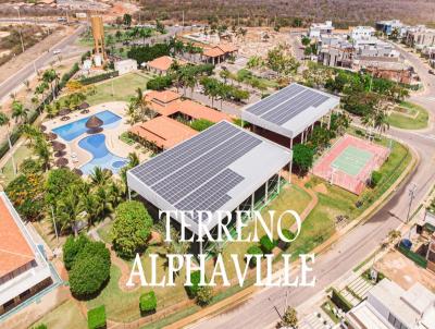 Terreno para Venda, em Mossor�, bairro Nova Bet�nia