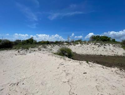 Terreno para Venda, em Tibau, bairro Praia De Gado Bravo