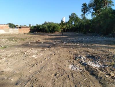 Terreno para Venda, em Mossor�, bairro Ilha De Santa Luzia